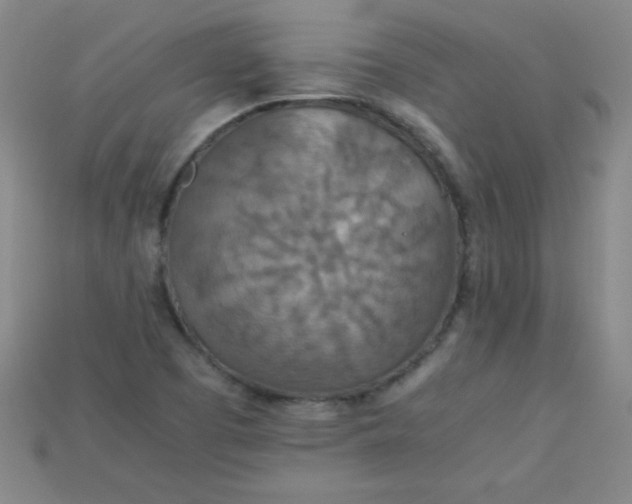 X0000115211457200911121854