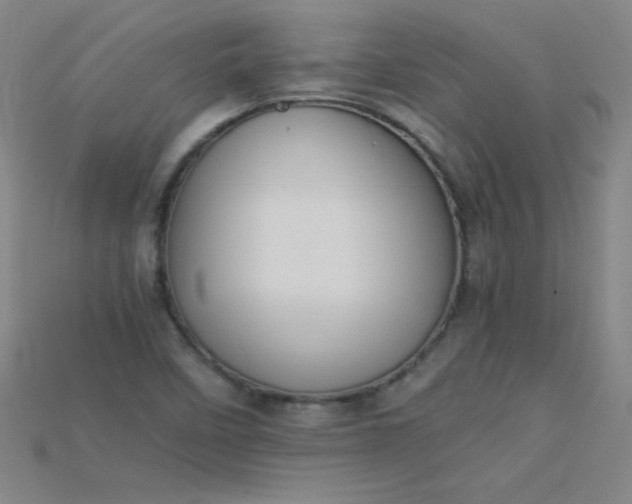 X0000115211458200911121854