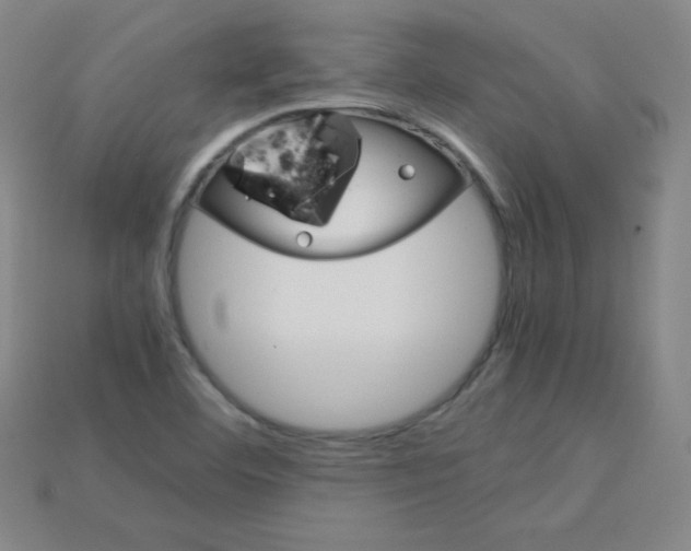 X0000115211460200911121854