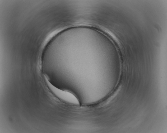 X0000115211461200911121854