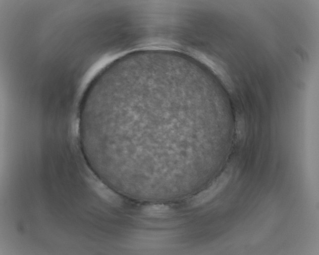 X0000115211462200911121854