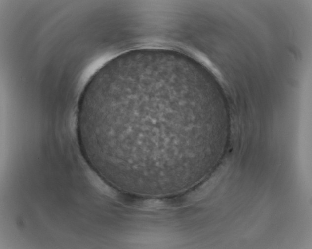 X0000115211463200911121854