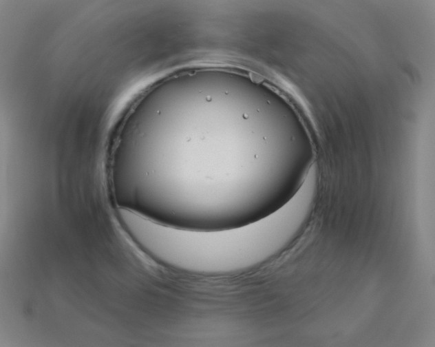 X0000115211464200911121854