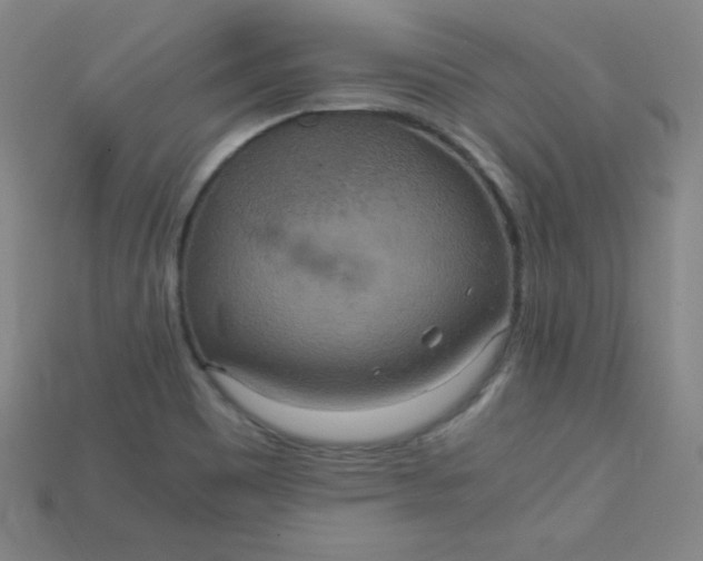 X0000115211465200911121854