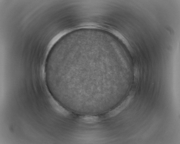 X0000115211466200911121854