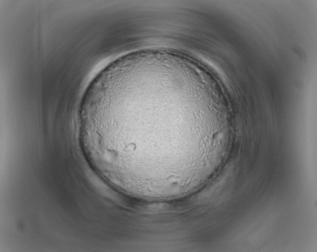 X0000115211467200911121854