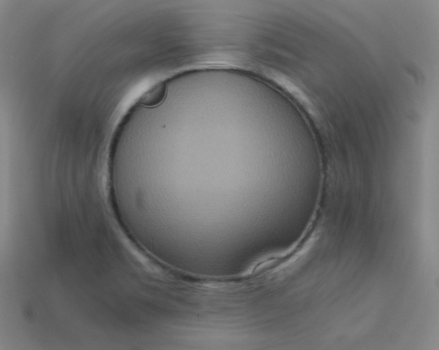 X0000115211469200911121854