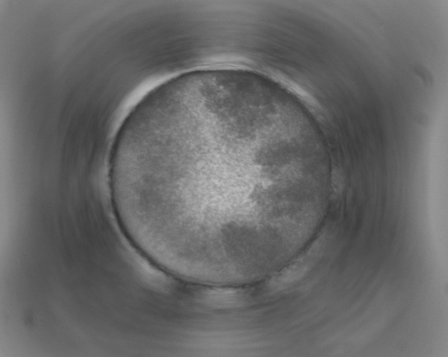 X0000115211470200911121854