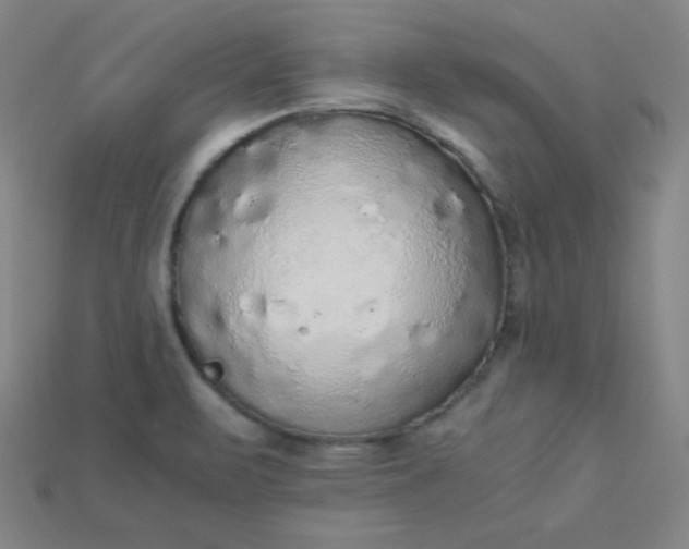X0000115211471200911121854