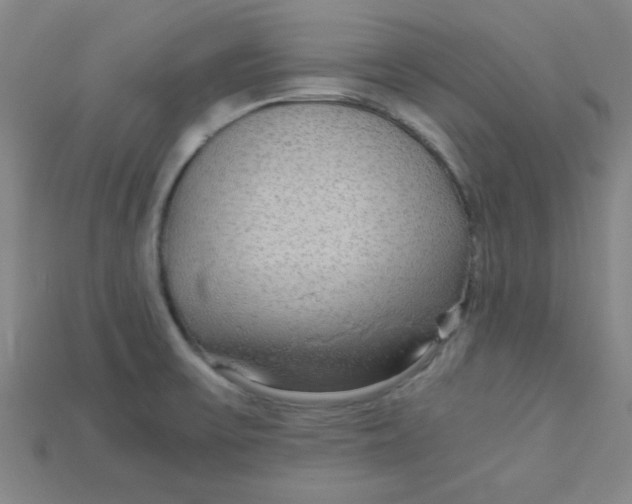 X0000115211475200911121854