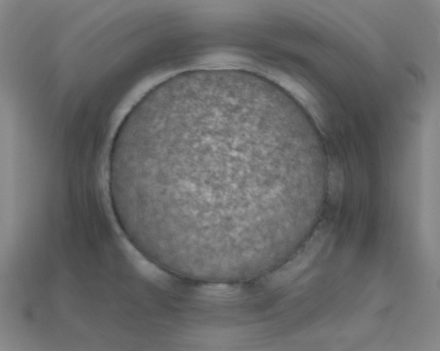X0000115211478200911121854