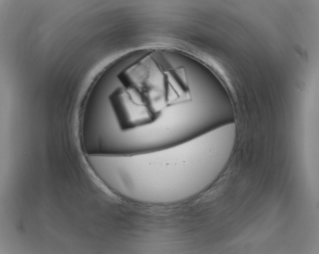 X0000115211480200911121854