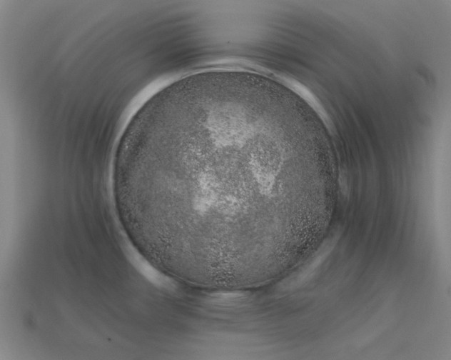 X0000115211482200911121854