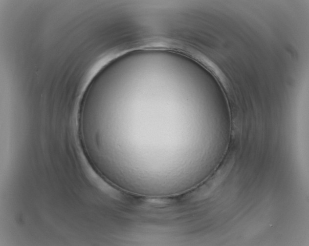 X0000115211483200911121854