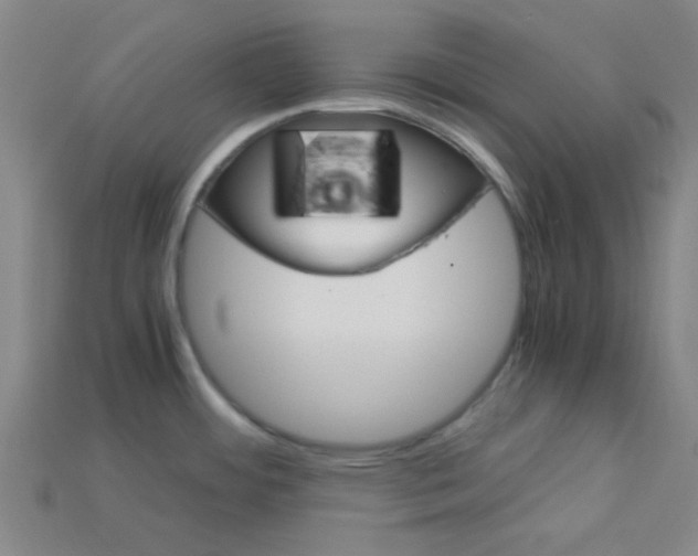 X0000115211484200911121854