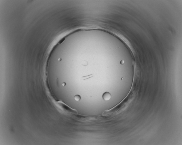 X0000115211485200911121854