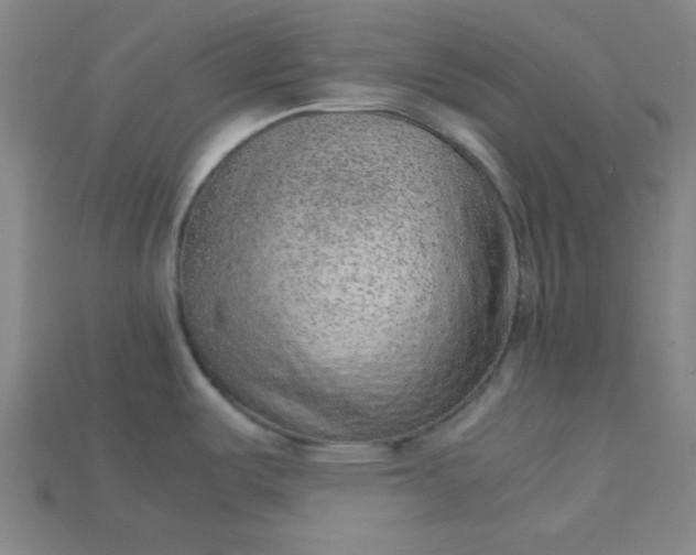 X0000115211487200911121854