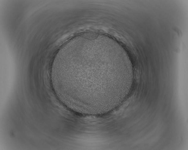 X0000115211489200911121853