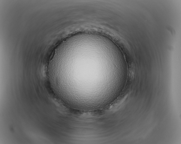 X0000115211490200911121853