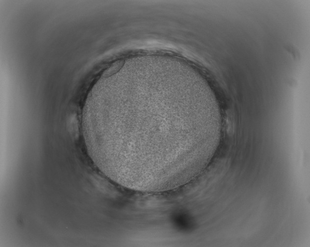 X0000115211493200911121853
