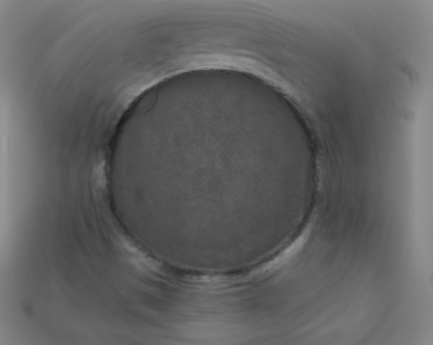 X0000115211497200911121853