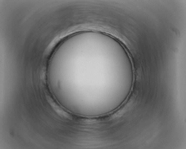 X0000115211499200911121853
