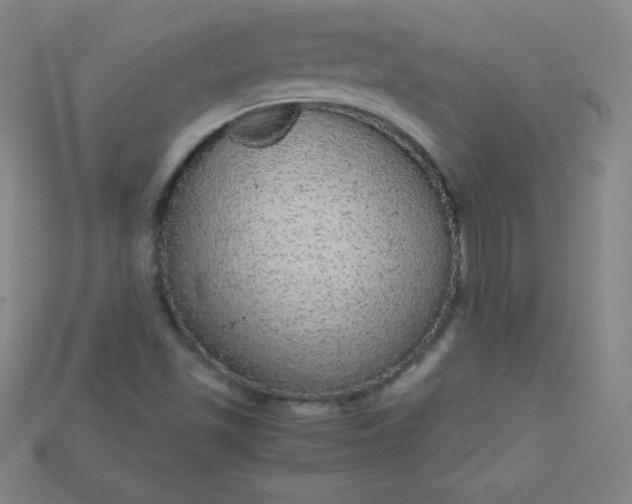 X0000115211501200911121853