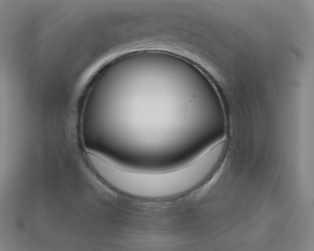X0000115211502200911121853