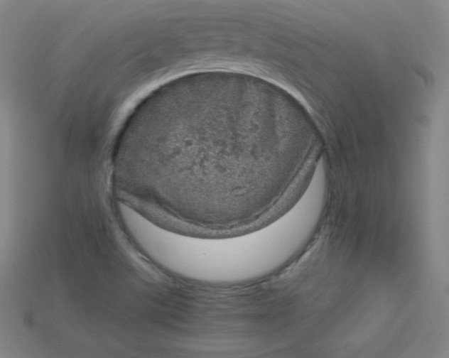 X0000115211507200911121853