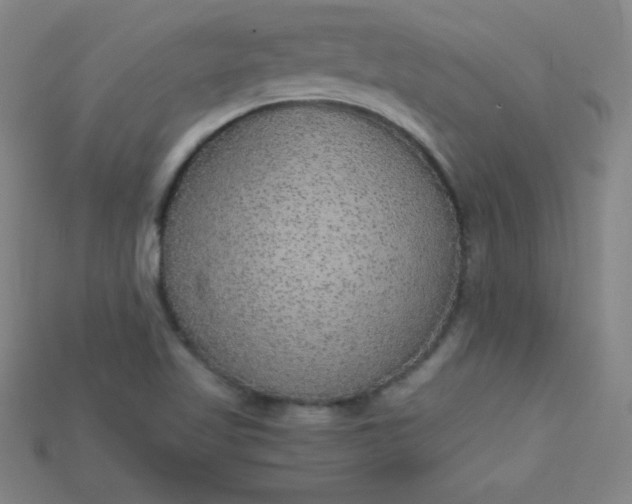 X0000115211509200911121853