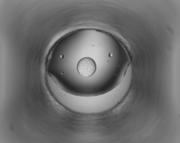 X0000115211514200911121853