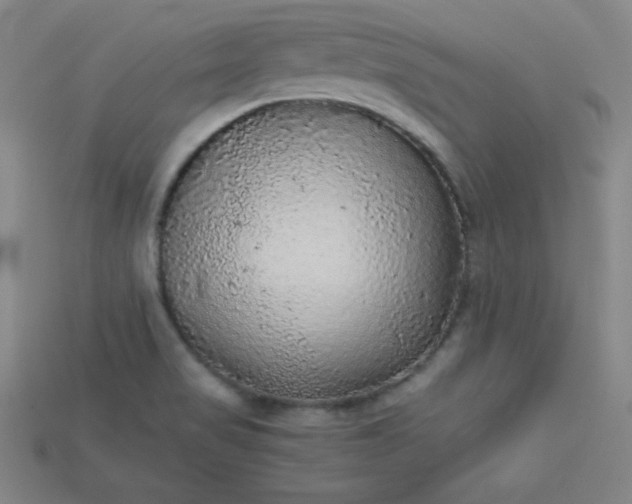 X0000115211517200911121853