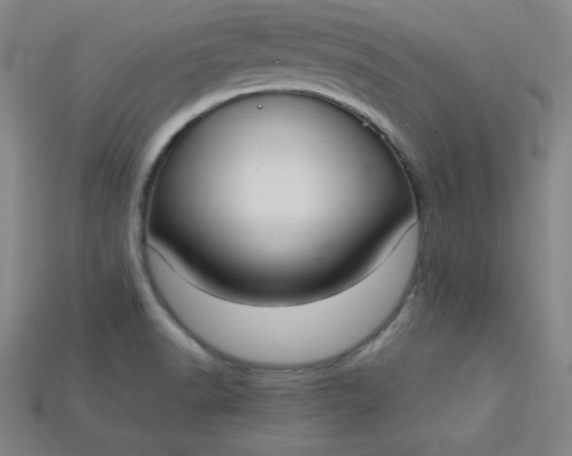 X0000115211518200911121853