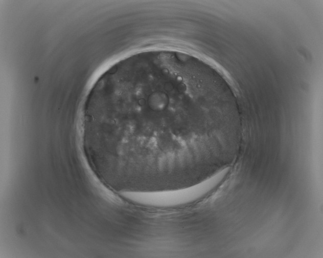 X0000115211522200911121853