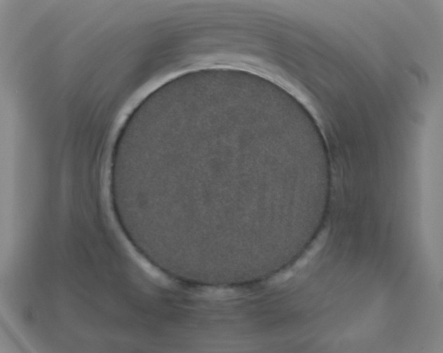 X0000115211525200911121853
