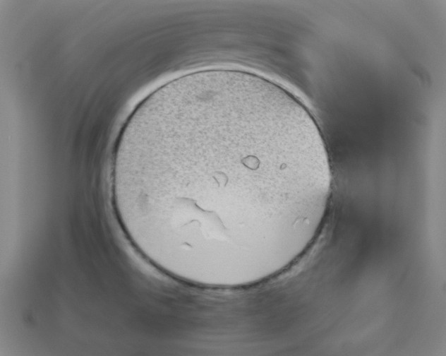 X0000115211526200911121853