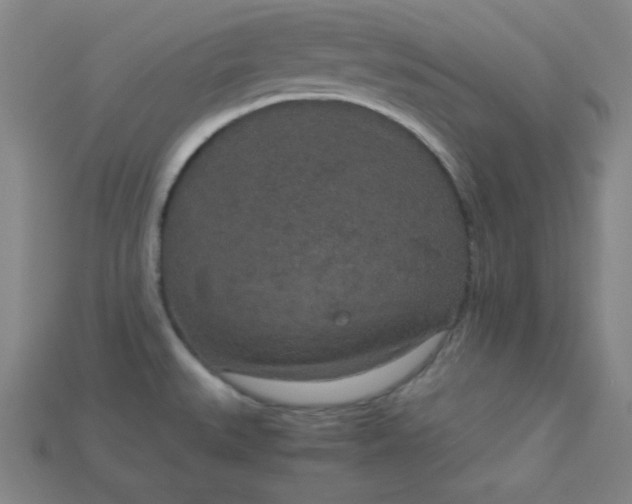 X0000115211527200911121853