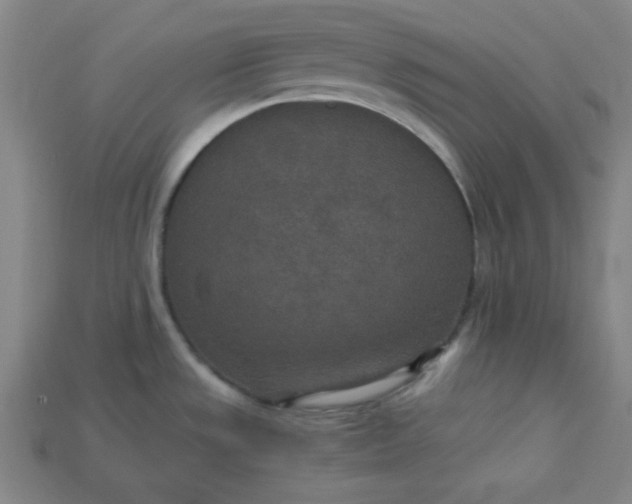 X0000115211533200911121854