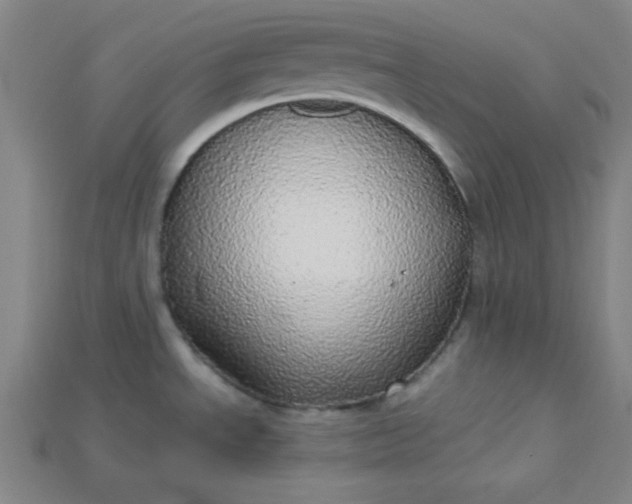X0000115211534200911121854