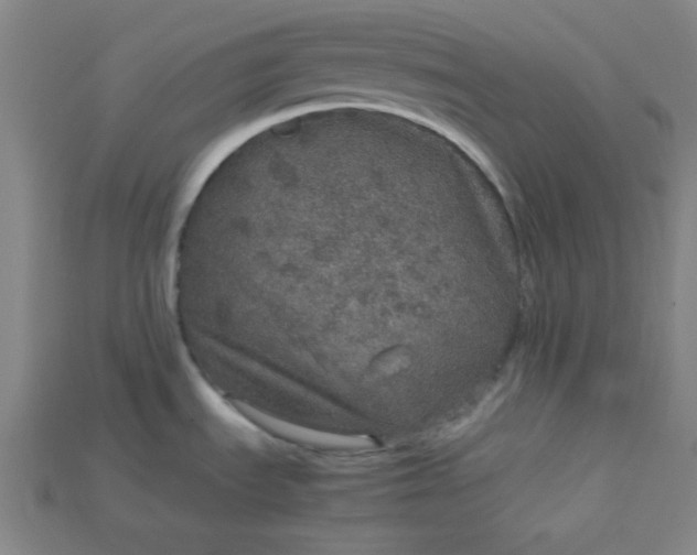 X0000115211535200911121854