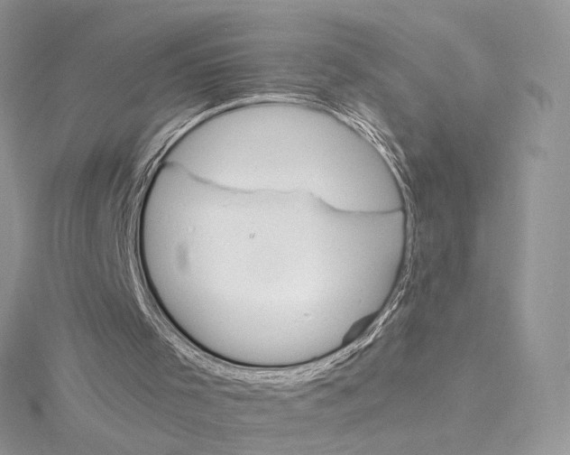 X0000115210001200911181538