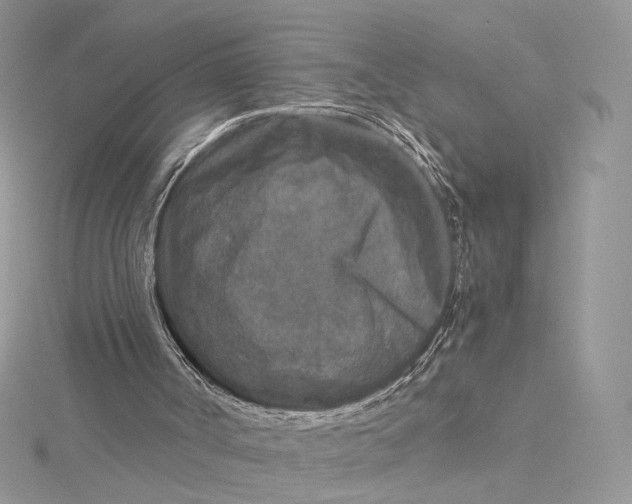 X0000115210002200911181538