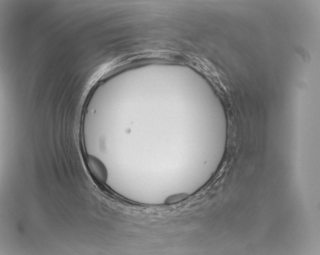 X0000115210003200911181538