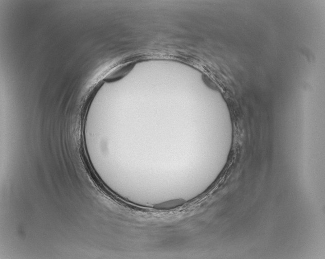 X0000115210005200911181538