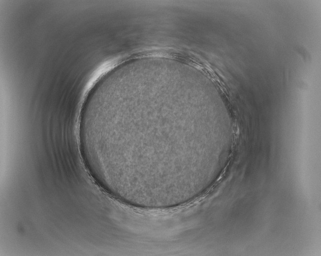 X0000115210006200911181538