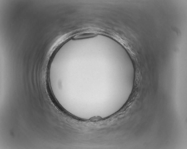 X0000115210007200911181538