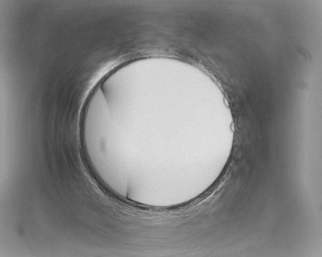 X0000115210008200911181538