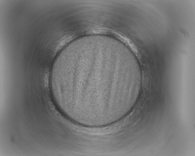 X0000115210010200911181538