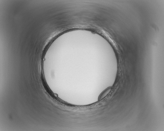 X0000115210011200911181538