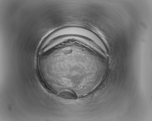 X0000115210012200911181538